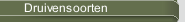 Druivensoorten